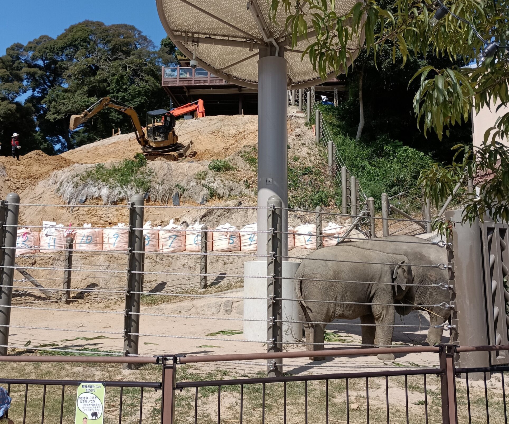 動物園法面改良工事